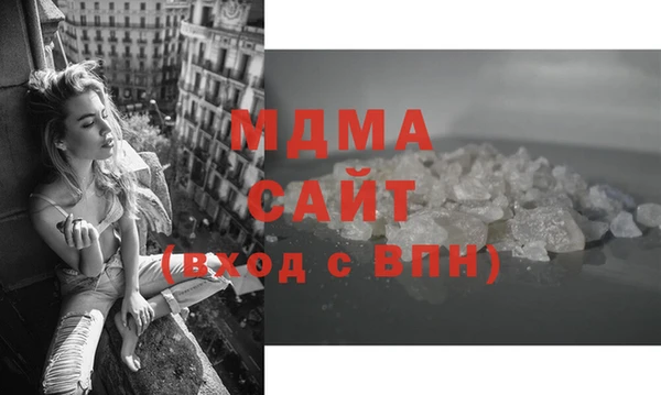 гашик Алексин