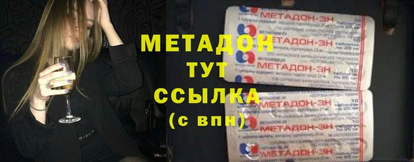 гашик Алексин