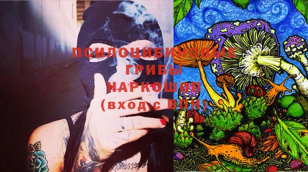 гашик Алексин