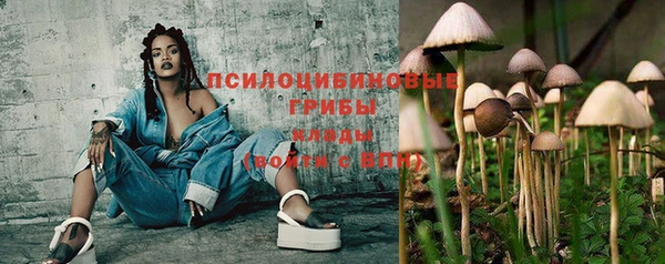 spice Алексеевка