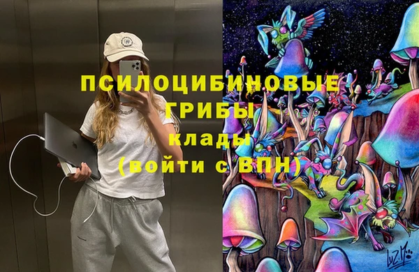 spice Алексеевка