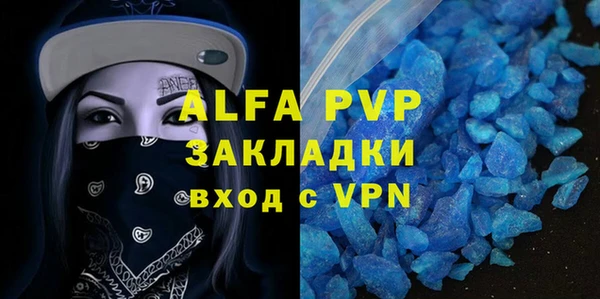 гашик Алексин