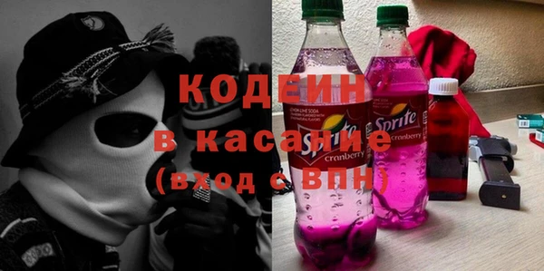 гашик Алексин