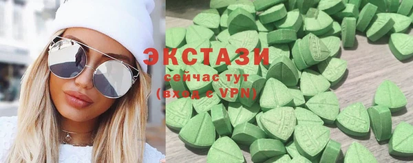 гашик Алексин
